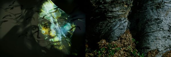 © Nicole Vittoria de Jager - 2