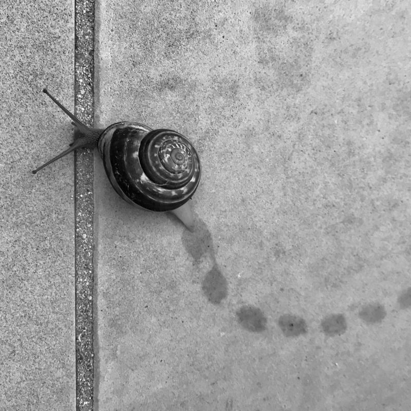 © Nicole Vittoria de Jager - Snail Trail Intersections (Cape Town, South Africa)