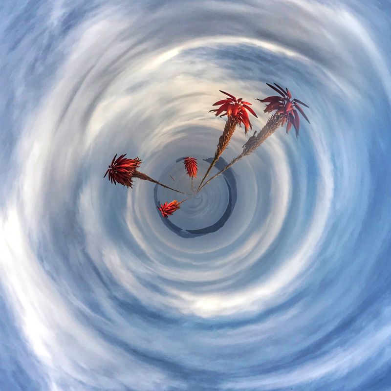 © Emmanuelle Argyropoulou - Image from the Circles of Life photography project