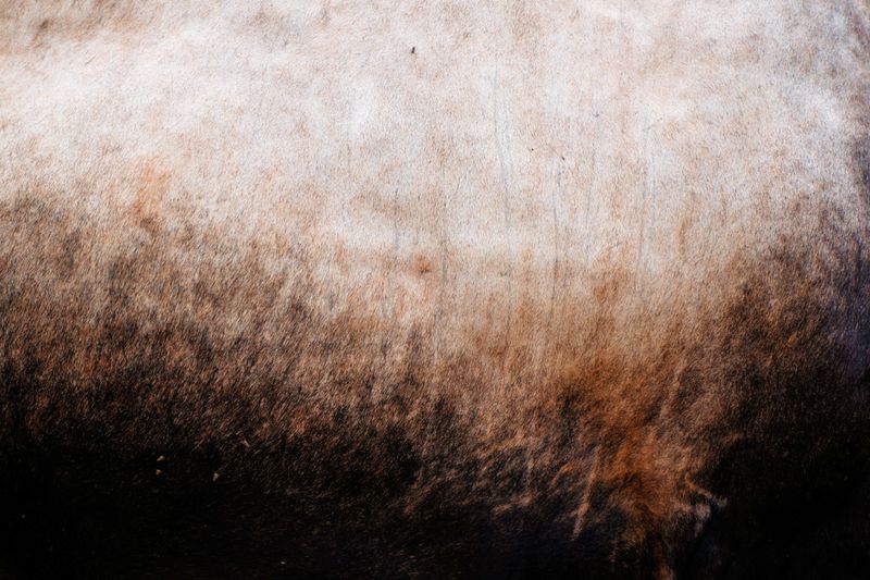 © Lionel Jusseret - Image from the KOLOSTRUM photography project