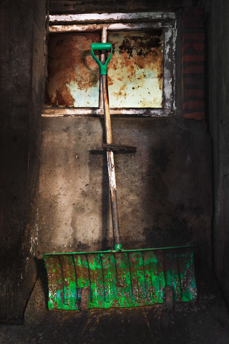 © Lionel Jusseret - Image from the KOLOSTRUM photography project