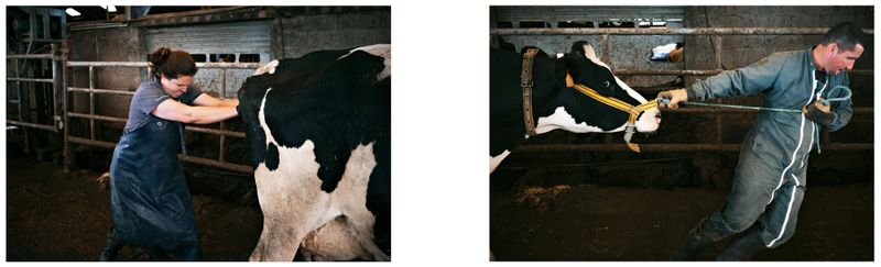 © Lionel Jusseret - Image from the KOLOSTRUM photography project