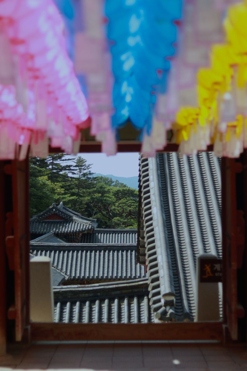 © Leila Joutet - Image from the 屋：ROOFS photography project