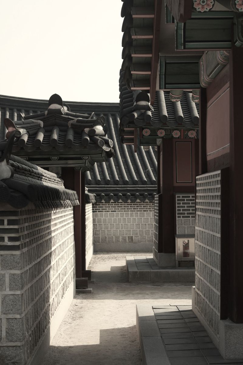 © Leila Joutet - Image from the 屋：ROOFS photography project