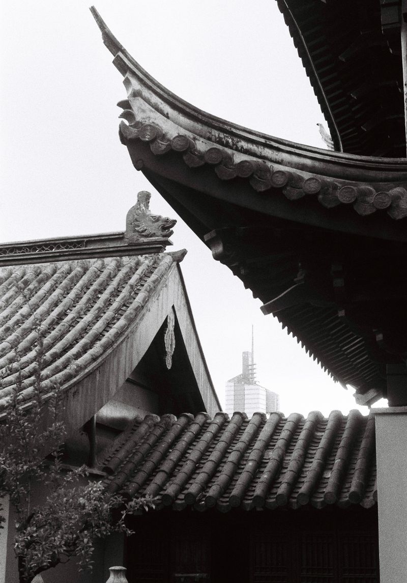 © Leila Joutet - Image from the 屋：ROOFS photography project
