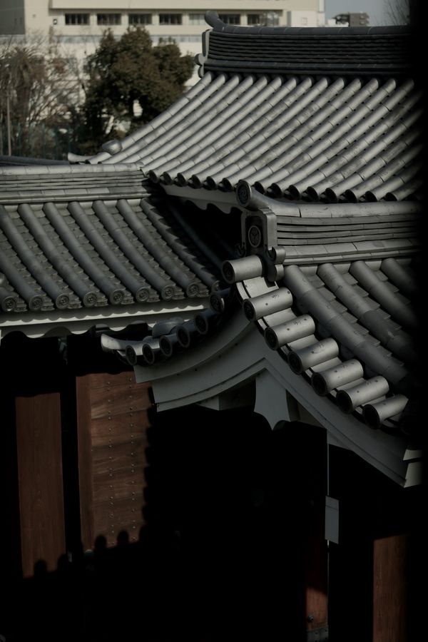 © Leila Joutet - Image from the 屋：ROOFS photography project