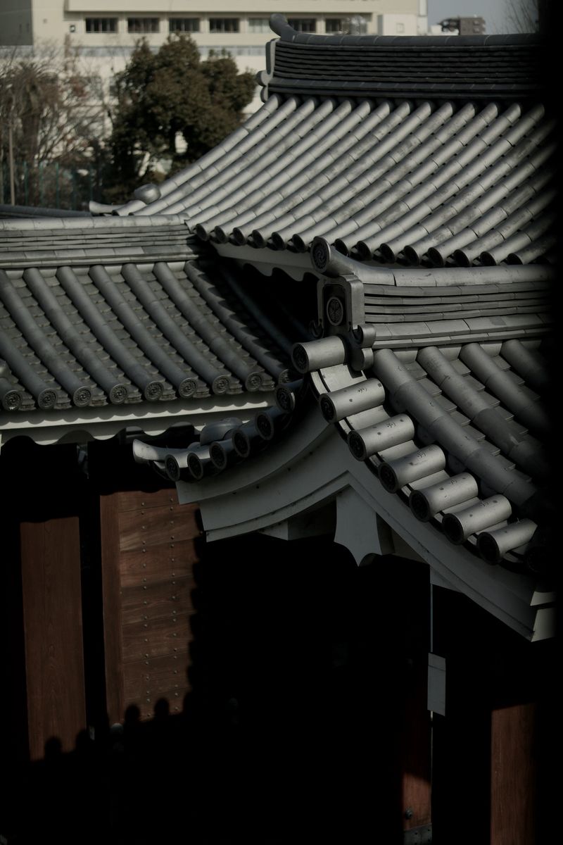 © Leila Joutet - Image from the 屋：ROOFS photography project