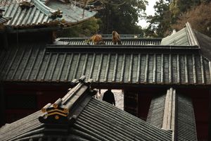 屋：ROOFS