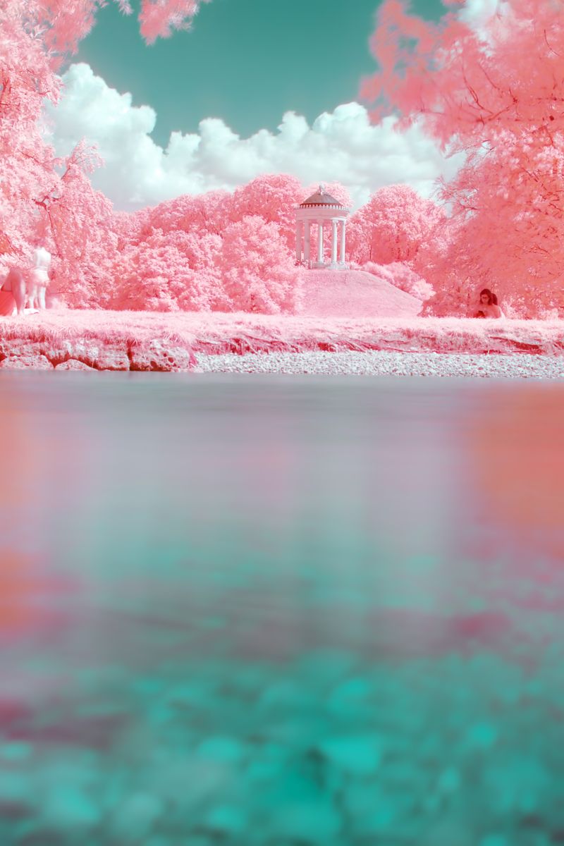 © Paolo Salmaso - Image from the Whispers in Pink photography project