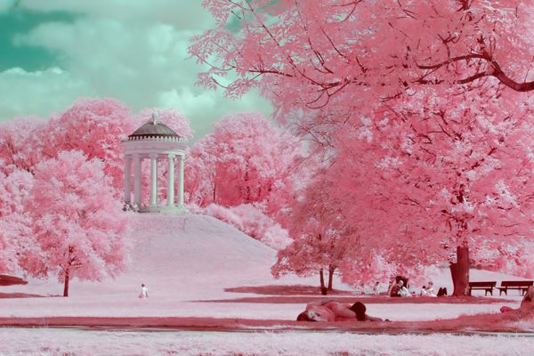 © Paolo Salmaso - Image from the Whispers in Pink photography project