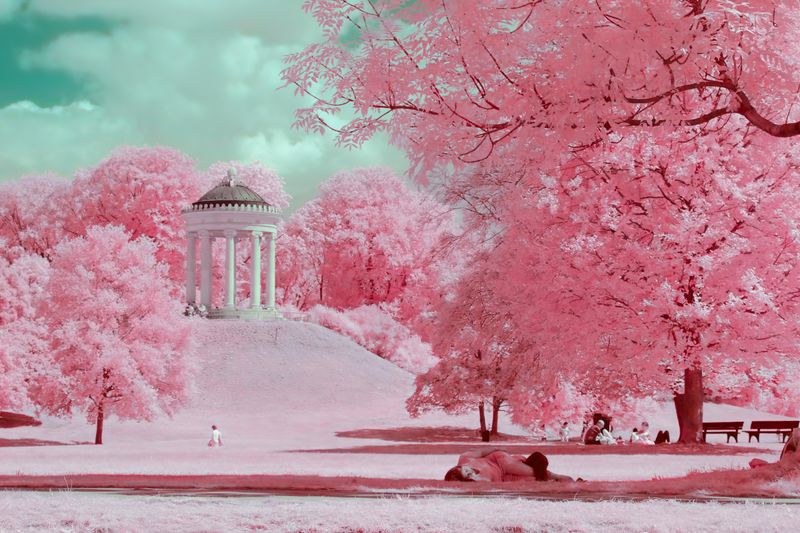 © Paolo Salmaso - Image from the Whispers in Pink photography project