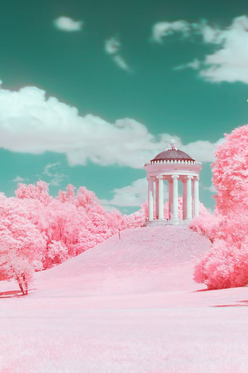 © Paolo Salmaso - Image from the Whispers in Pink photography project