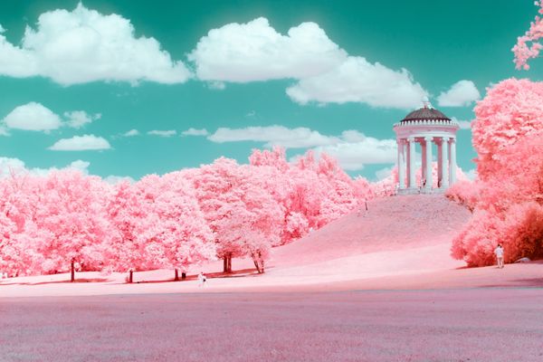 © Paolo Salmaso - Image from the Whispers in Pink photography project