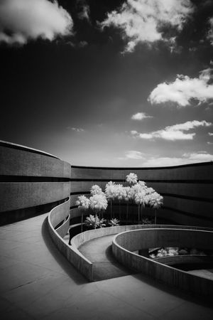 Where Nature Meets Concrete: A Symphony of Balance