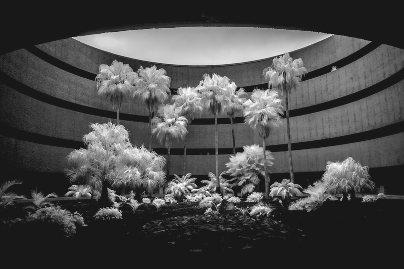 © Paolo Salmaso - Image from the Where Nature Meets Concrete: A Symphony of Balance photography project