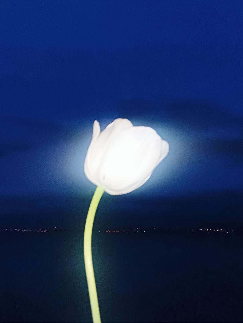 © Antigoni Papantoni - Image from the KAIROS photography project