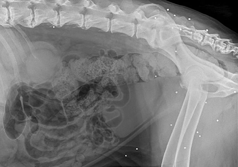 © Antigoni Papantoni - Image from the KAIROS photography project