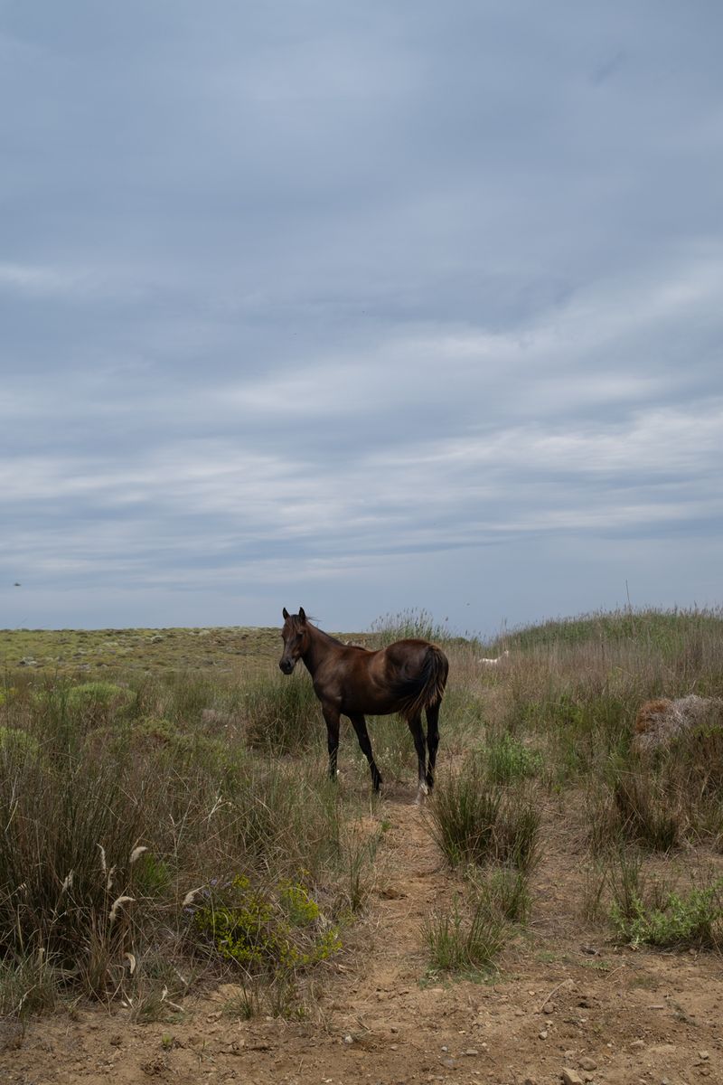 © Antigoni Papantoni - Image from the KAIROS photography project