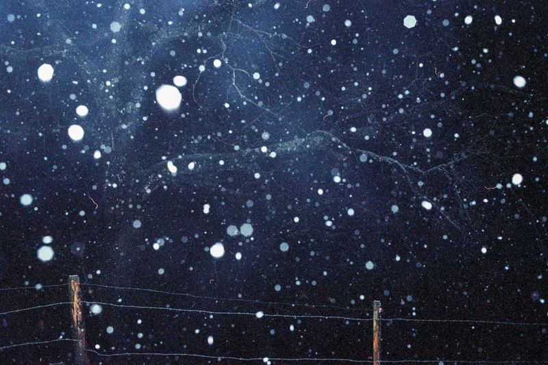 © Antigoni Papantoni - Image from the you can't go home again photography project