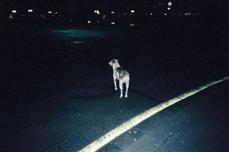 © Antigoni Papantoni - Image from the you can't go home again photography project