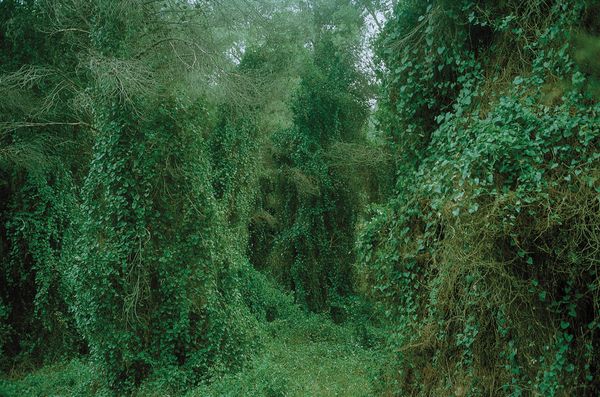 © Antigoni Papantoni - Image from the you can't go home again photography project