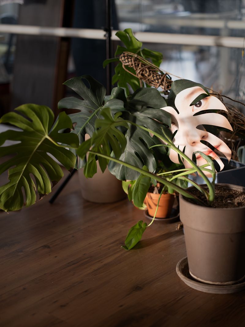 © Hyunmin Ryu - Image from the Kim Sae-Hyun photography project