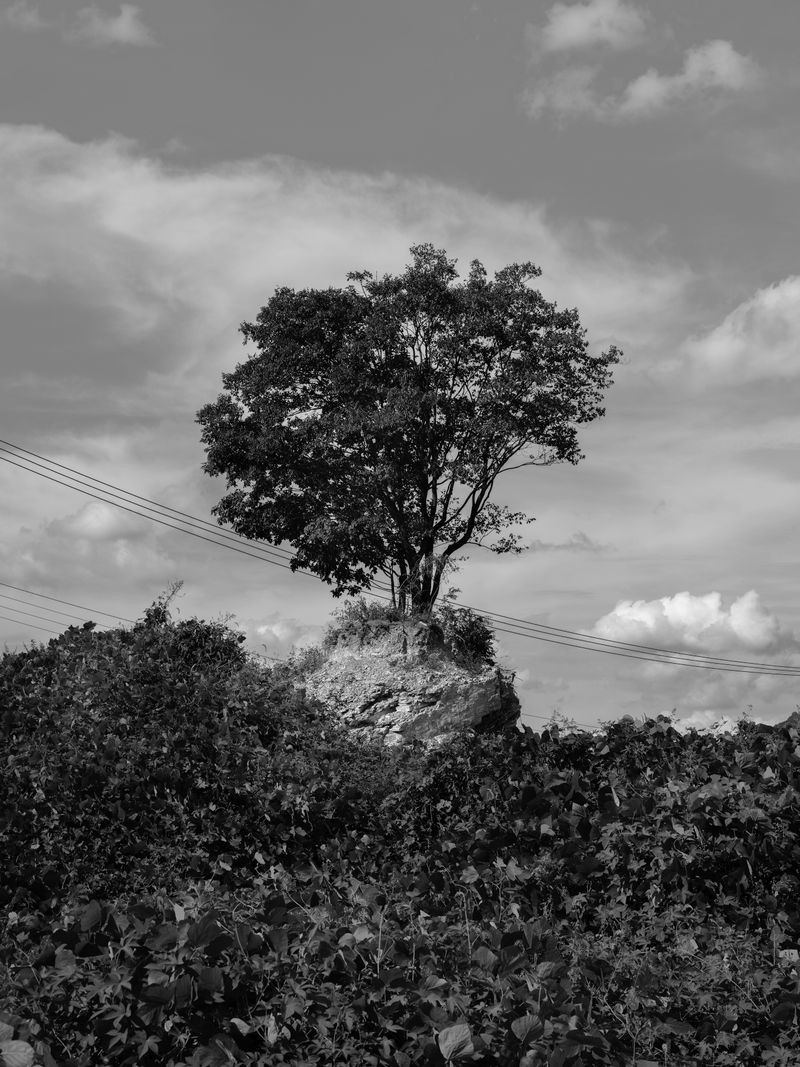 © Hyunmin Ryu - Image from the Ryu Sang-lag photography project