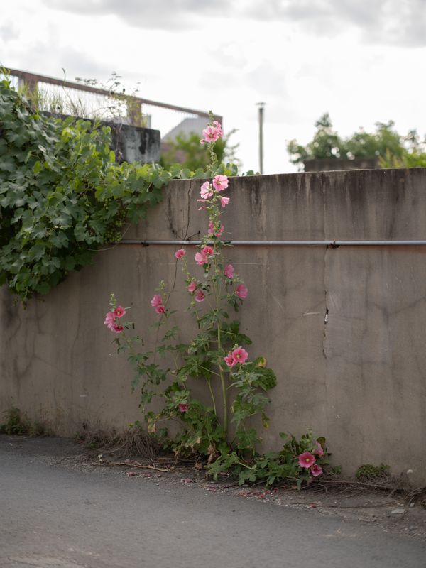 © Hyunmin Ryu - Image from the Ryu Sang-lag photography project