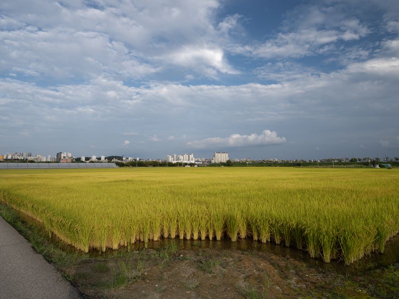 © Hyunmin Ryu - Image from the Ryu Sang-lag photography project