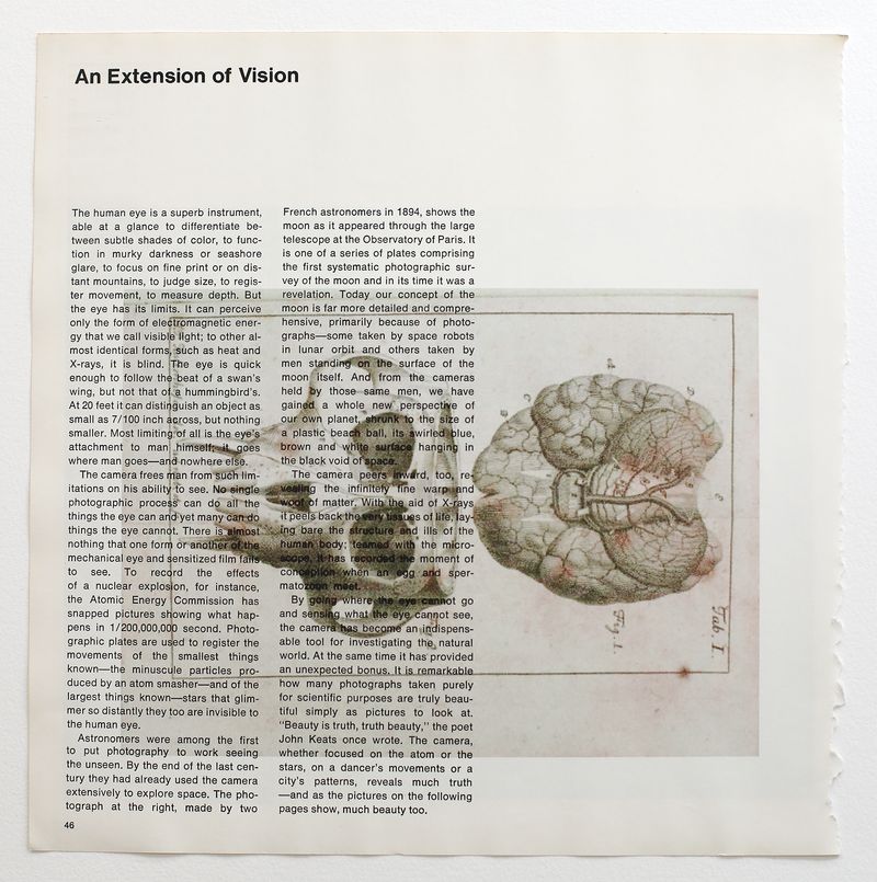 © Claudia Ruiz Gustafson - Image from the Terra obscura photography project