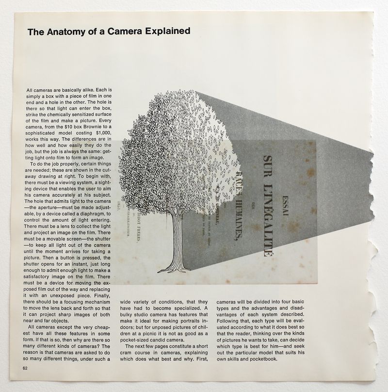 © Claudia Ruiz Gustafson - Image from the Terra obscura photography project