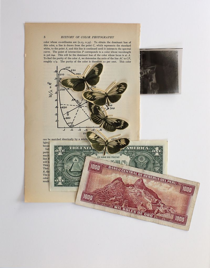 © Claudia Ruiz Gustafson - Image from the Terra obscura photography project