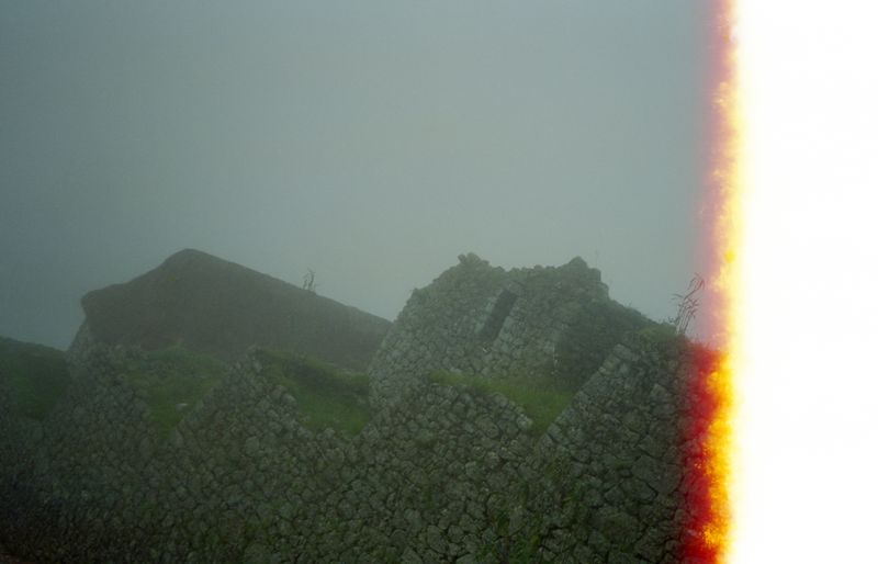 © Claudia Ruiz Gustafson - The dream of the pongo