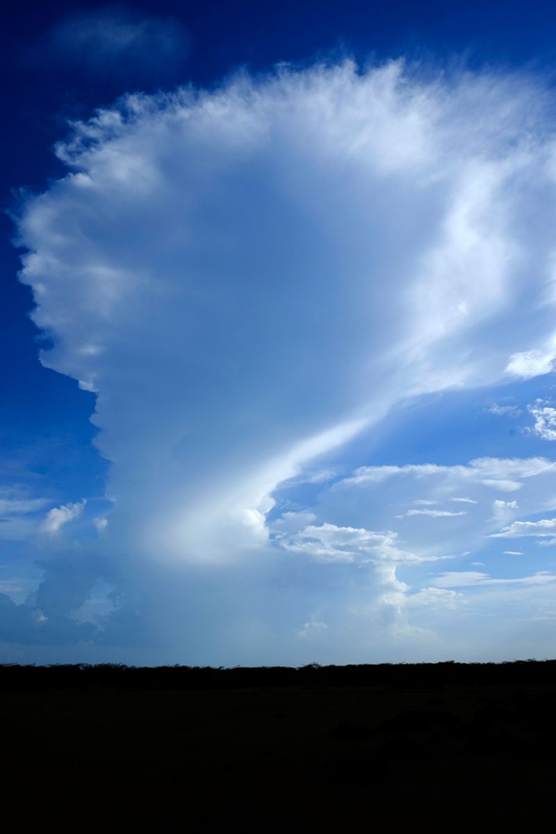 © Santiago Escobar-Jaramillo - A cloud as a nuclear fungus under explosion.