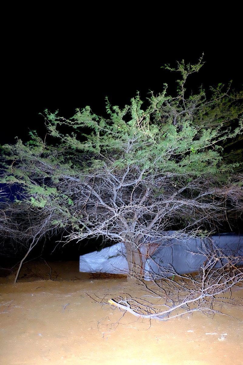 © Santiago Escobar-Jaramillo - The "white elephant" sleeps at night...