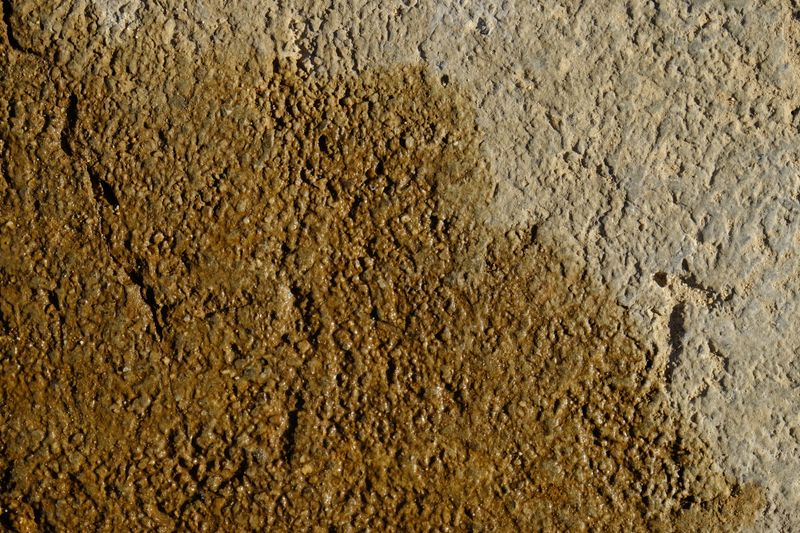 © Santiago Escobar-Jaramillo - Both, the elephant skin and the concrete layer, see how the water evaporates because of the high temperatures.