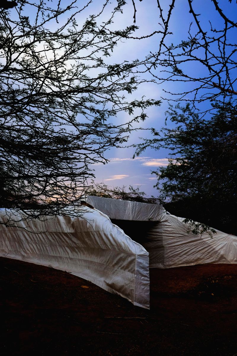 © Santiago Escobar-Jaramillo - The "white elephant" stays pachydermal in the middle of the desert.