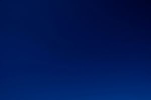 ELEFANTE BLANCO (White Elephant)