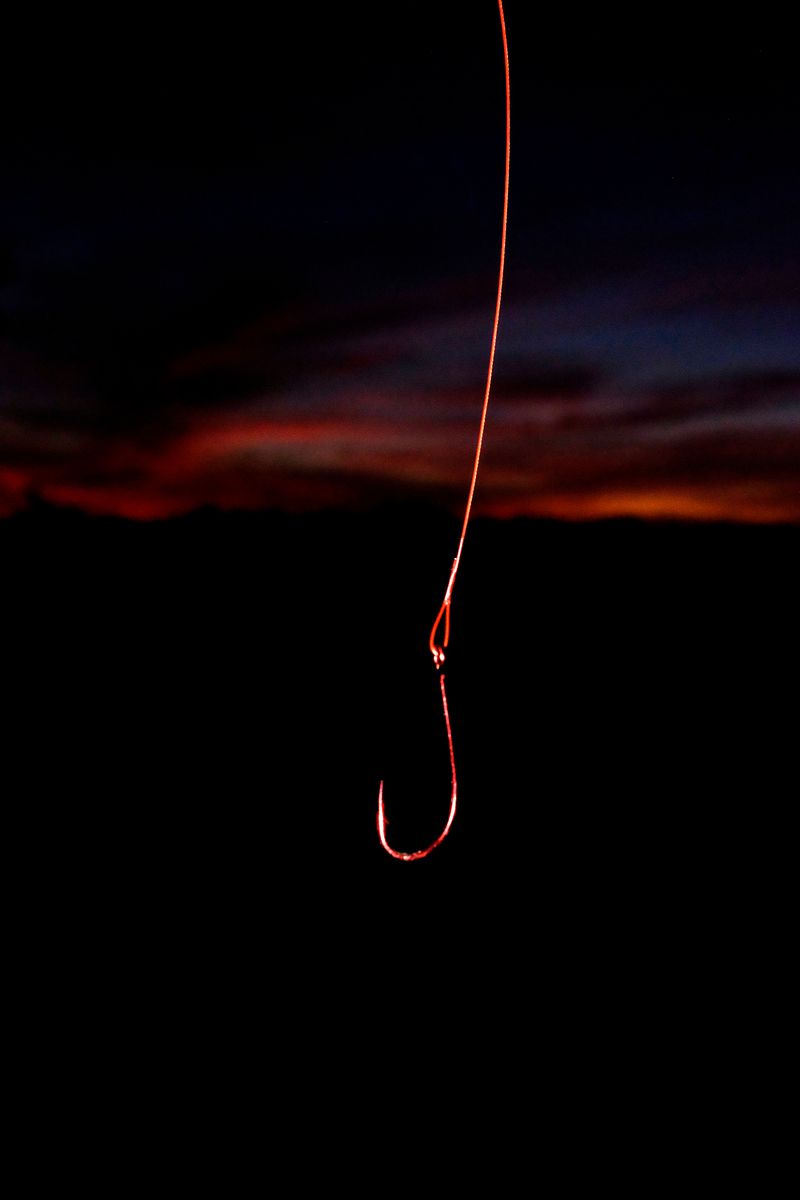 © Santiago Escobar-Jaramillo - Image from the The Fish Dies By Its Mouth / El pez muere por la boca photography project