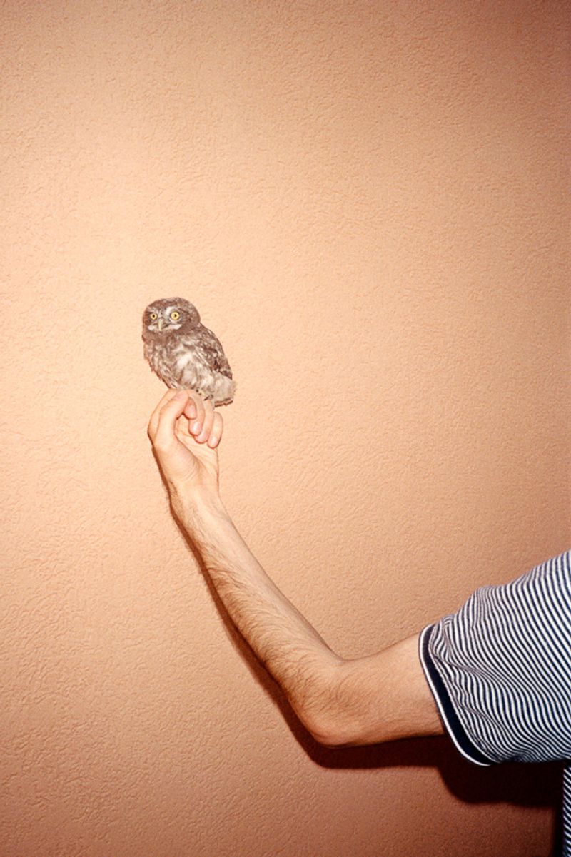 © Rocco Venezia - Image from the Nekyia photography project