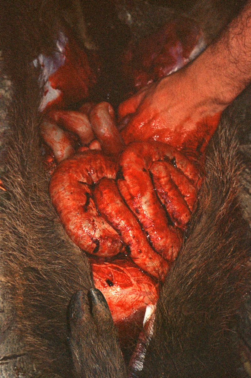 © Rocco Venezia - Image from the Nekyia photography project