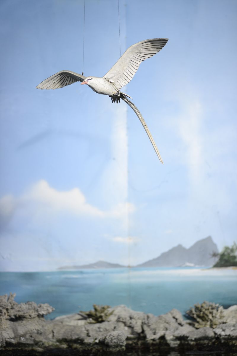 © Alvaro Keding - Image from the The wildness photography project