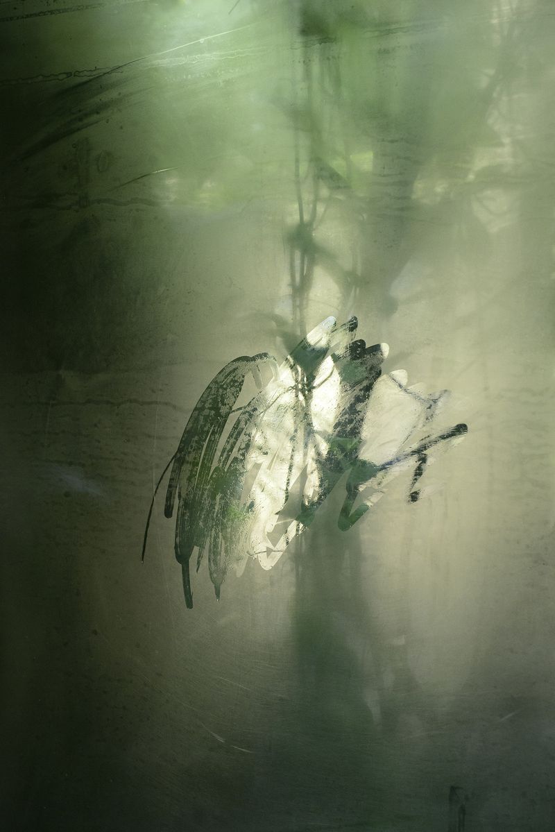 © Alvaro Keding - Image from the The wildness photography project