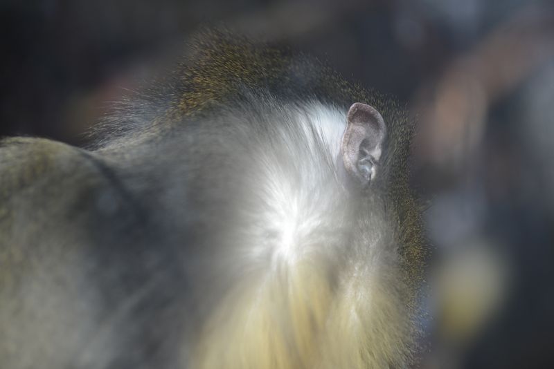© Alvaro Keding - Image from the The wildness photography project