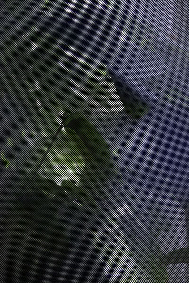 © Alvaro Keding - Image from the The wildness photography project