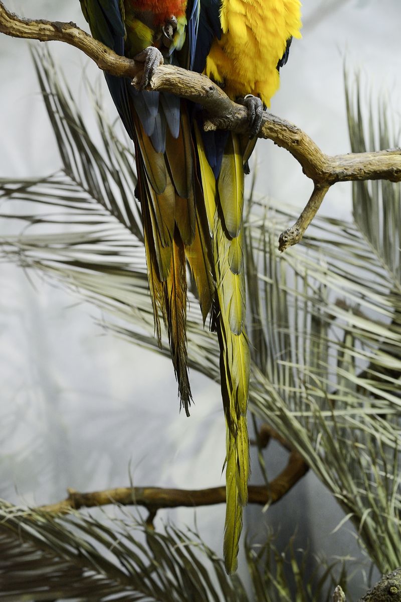 © Alvaro Keding - Image from the The wildness photography project