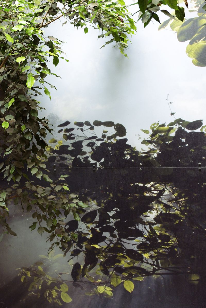 © Alvaro Keding - Image from the The wildness photography project