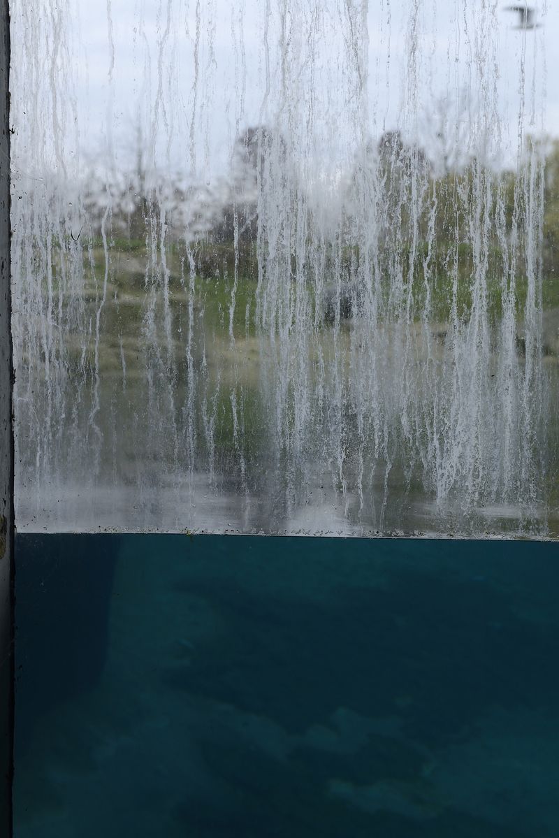 © Alvaro Keding - Image from the The wildness photography project