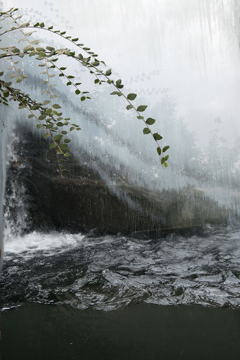 © Alvaro Keding - Image from the The wildness photography project