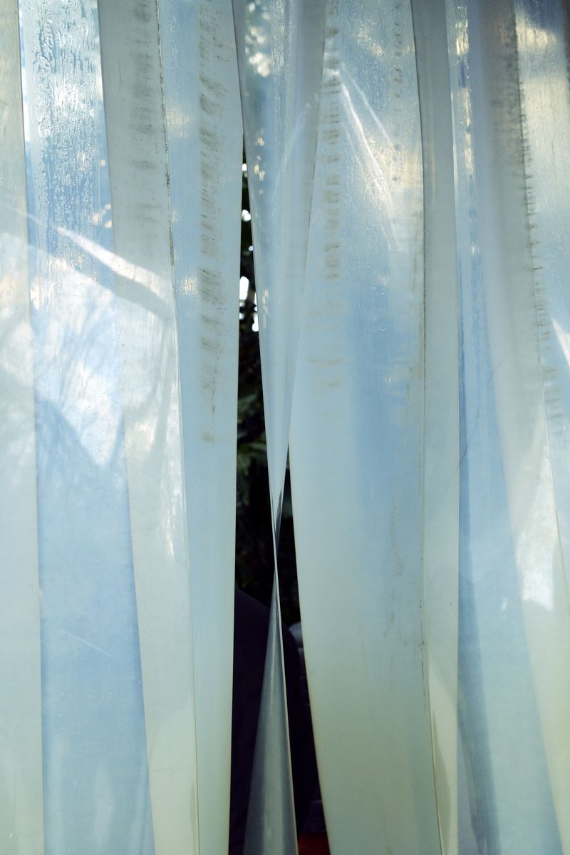 © Alvaro Keding - Image from the The wildness photography project